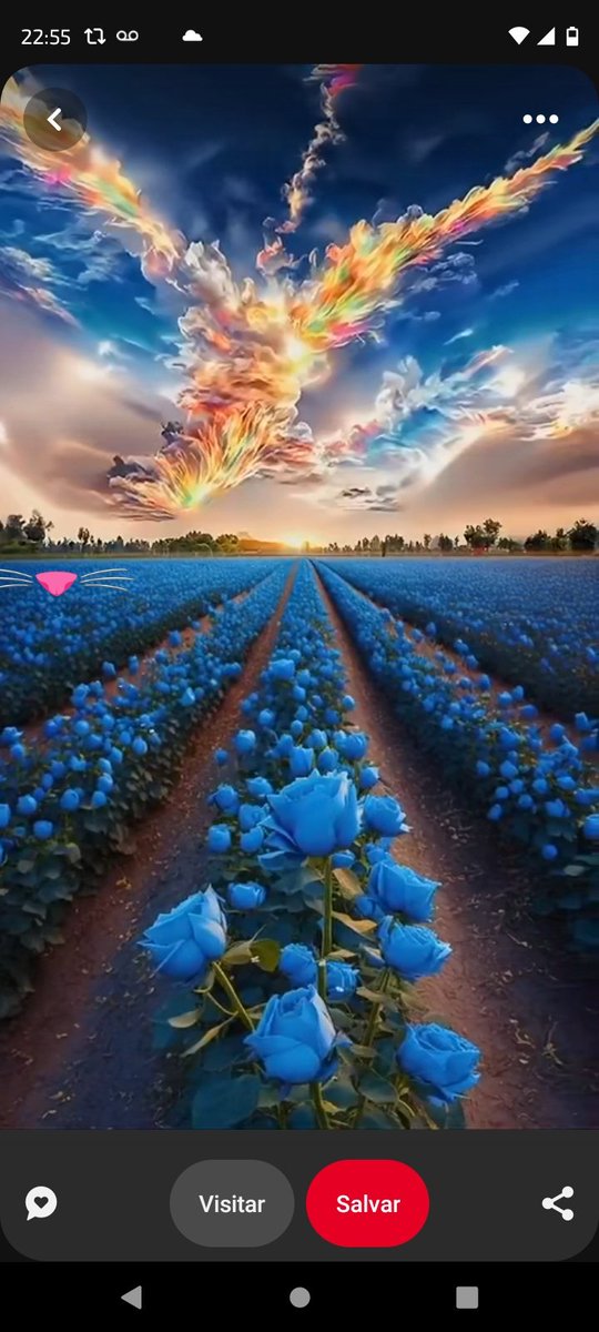 AmordAlma_'s tweet photo. Good morning friends 🩵 https://t.co/MvhXhZxKTK