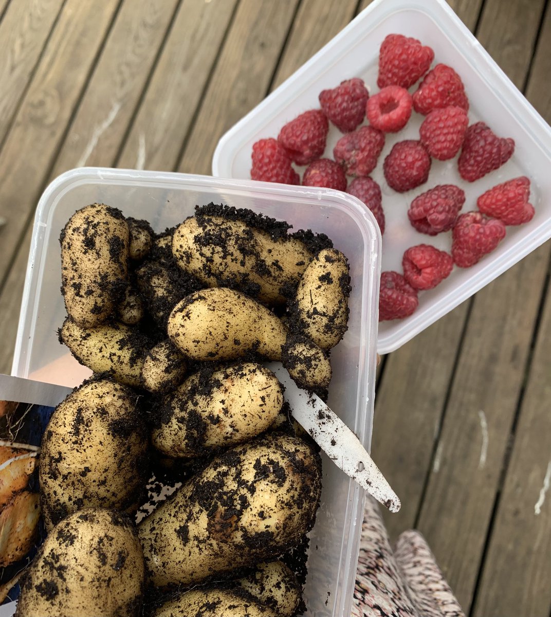 🌱 Charlotte Kennedy tweet media