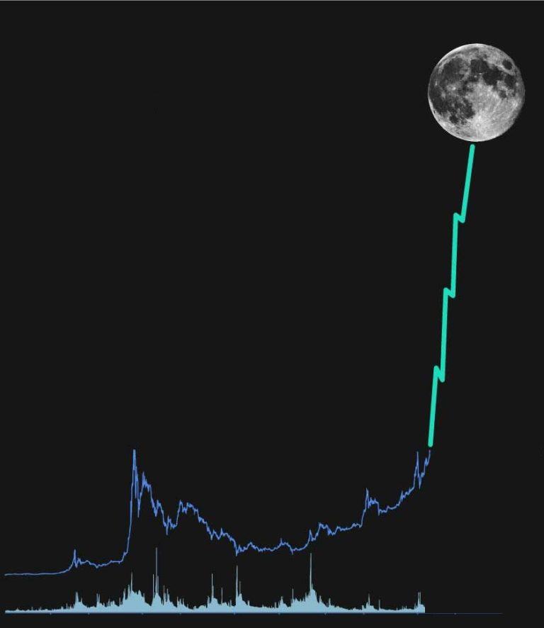 BSCDaily tweet media