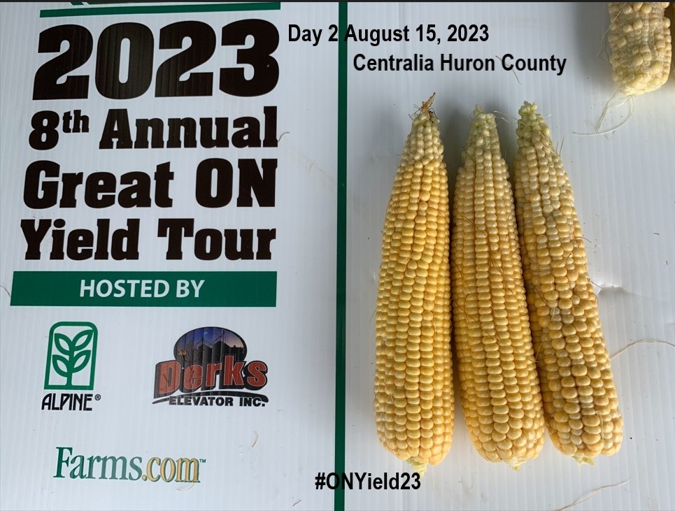 #ONYield23 Day 2 Aug. 15, 2023 #corn yield check in Centralia in Huron County 218.1 despite some corn pollination issues but with all of the moisture the yield impact will be minimal. @OnTag Thank you platinum sponsors  @TerranovaUav <a href="/KochAgServices/">Koch Agronomic Services</a> <a href="/KochIndustries/">KochIndustries</a>