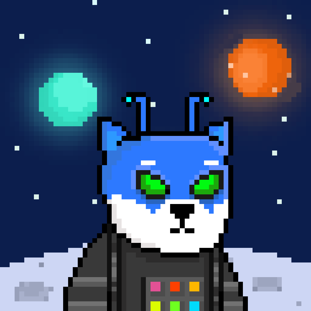 Shib Chomp tweet media