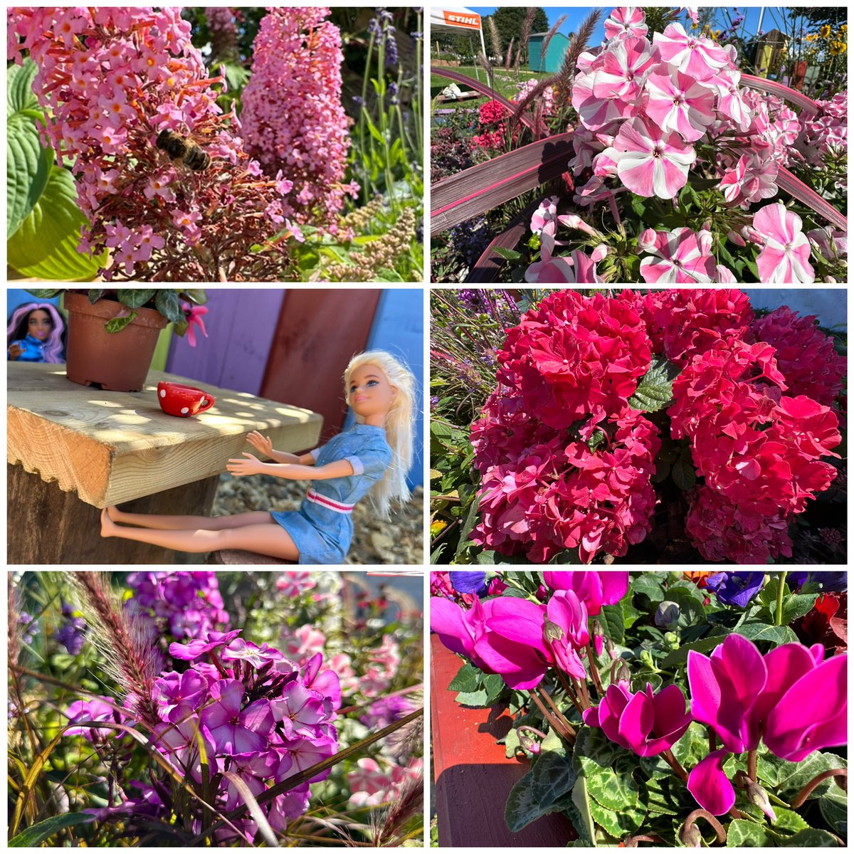 If Barbie did Southport Flower Show 🌸🌷🌺🎀 <a href="/My_Apprentice/">Myerscough College</a>