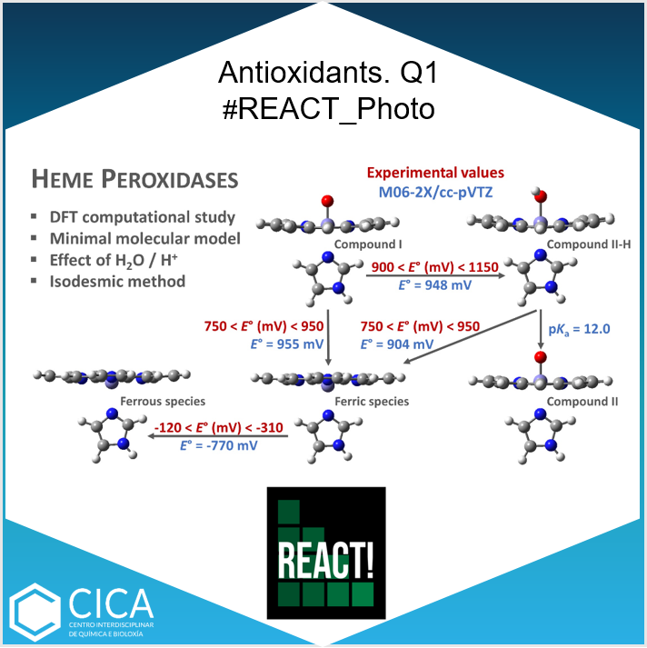 CICAUDC's tweet photo. Daniel R. Ramos, Paul G. Furtmüller, Christian Obinger, Ángeles Peña-Gallego, Ignacio Pérez-Juste, J. Arturo Santaballa from #REACT_Photo published“Common Reactivity and Properties of HemePeroxidases: A DFT Study of Their Origin” in Antioxidants 👉 https://t.co/Wsdjxnz2KU https://t.co/GpCqIBpT16