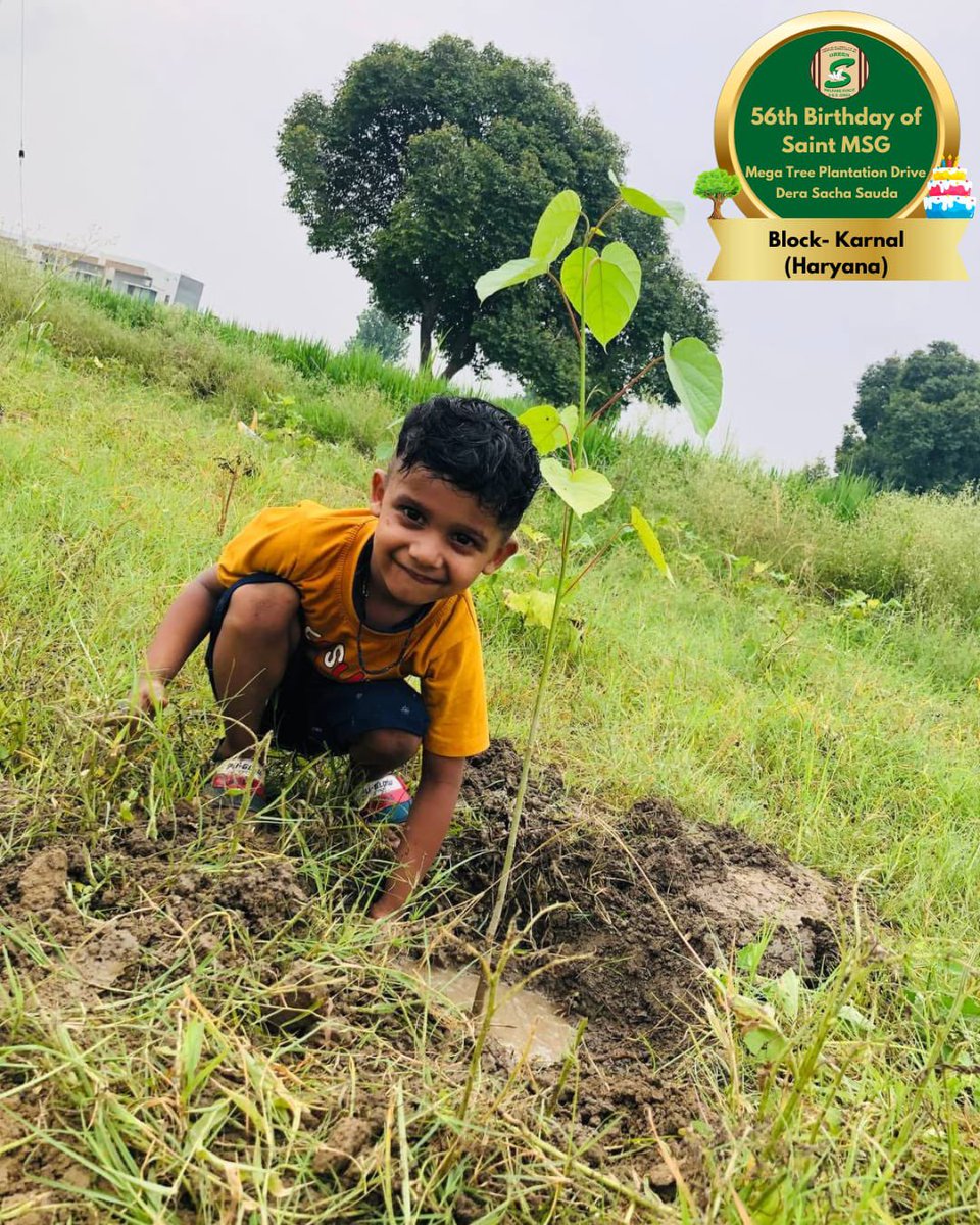 GreenSwelfares's tweet photo. Determined to save Mother Earth 🌍 by planting trees🌳, #DeraSachaSauda volunteers participated in the #MegaTreePlantation drive organized to celebrate MSG Bhandara 56th Incarnation Day of Saint Dr. MSG Insan.

#TreePlantation #SaintDrMSG #56thBirthdayOfSaintMSG #56thBirthdayWithTreePlantation #15thAugust