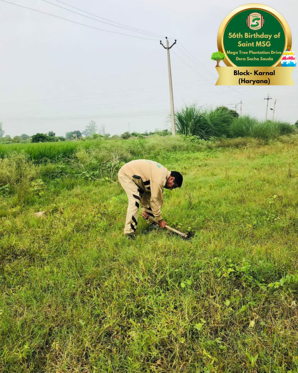 GreenSwelfares's tweet photo. Determined to save Mother Earth 🌍 by planting trees🌳, #DeraSachaSauda volunteers participated in the #MegaTreePlantation drive organized to celebrate MSG Bhandara 56th Incarnation Day of Saint Dr. MSG Insan.

#TreePlantation #SaintDrMSG #56thBirthdayOfSaintMSG #56thBirthdayWithTreePlantation #15thAugust