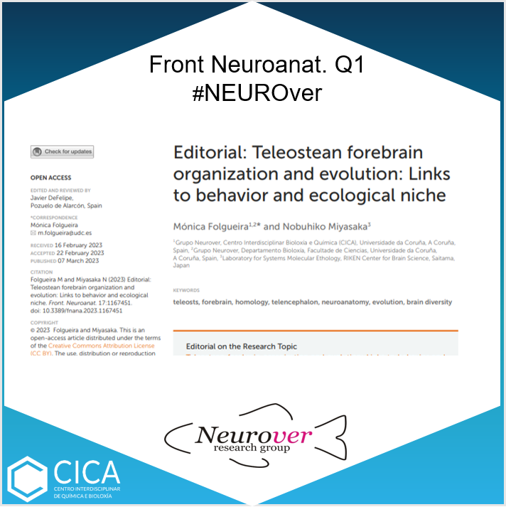 CICAUDC's tweet photo. Mónica Folgueira, Nobuhiko Miyasaka from #NEUROver Group published“Editorial: Teleosteanforebrain organization and evolution: Links to behavior and ecological niche” in Frontiers in Neuroanatomy 👉 https://t.co/8QRsyYzeqK https://t.co/9yUmK3ZCrO