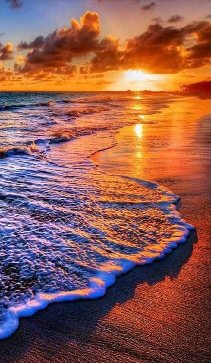JasonWo97579812's tweet photo. Be open to your dreams, people. Embrace that distant shore. Because our mortal journey is over all too soon.

David Assael https://t.co/Dn2phsMSy1