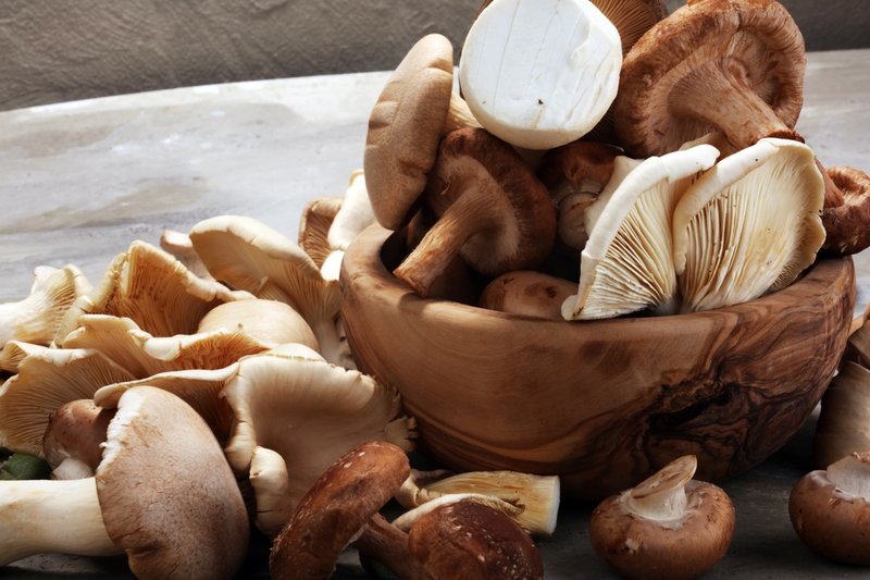 LoriShemek's tweet photo. Mushrooms Contribute to Optimal Health & Slower Aging.

Researchers have identified several bioactive compounds in mushrooms that contribute to their anti-aging effect.

These bioactive compounds such as ergothioneine, polysaccharides, and  triterpenoids contribute to their anti-aging effects. These compounds enhance cellular health, combat oxidative stress, and tamp down on inflammation and cell senescence. 

Mushrooms promote a healthy gut microbiome by providing prebiotic fiber and antimicrobial properties, which supports digestive health and immune function. The antioxidant and anti-inflammatory properties of mushrooms further protect against cellular damage and contribute to longevity. Delicious too!