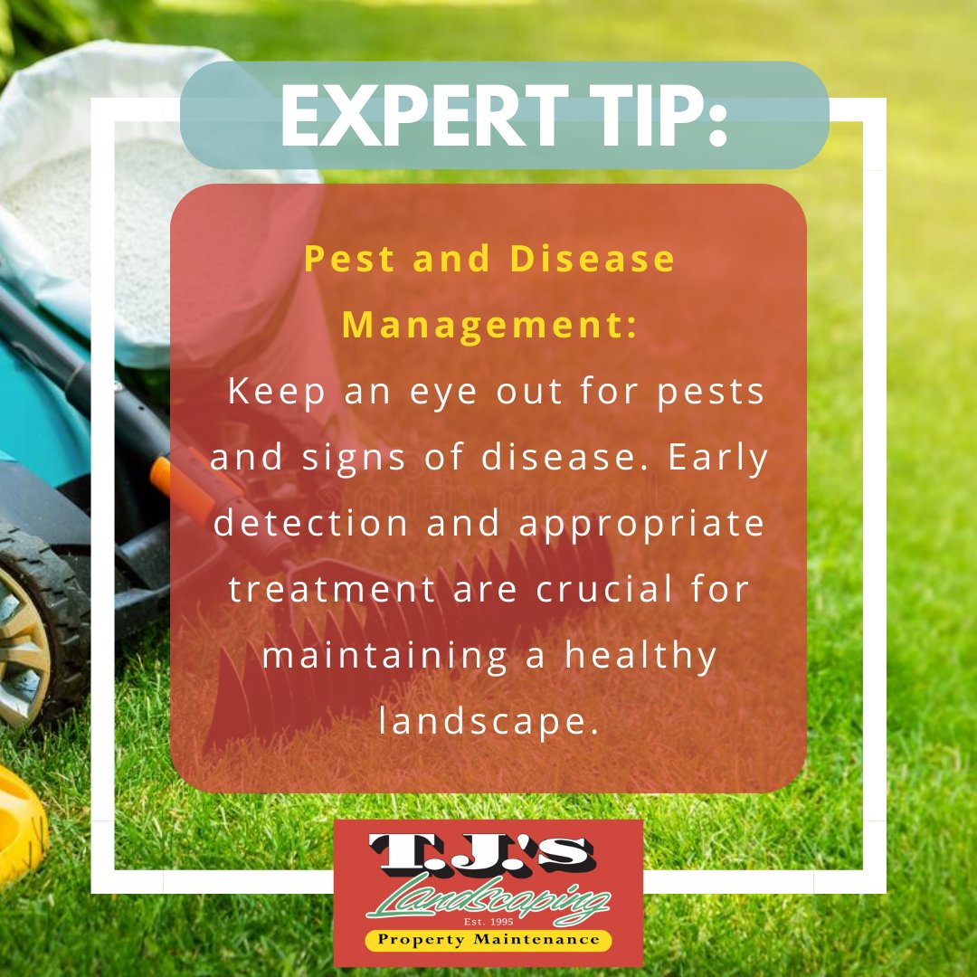 tj_maintenance's tweet photo. Unveiling the Secrets to a Pest-Free Paradise! 🌻 Discover our expert tips for effective pest and disease management – your garden will thank you! 🌱 
Contact us now: 
📧 : landscapingwithtj@gmail.com
📞 : 978-738-0692

#TJsLandscaping#ExpertAdvice
#Malden #Chelsea #Boston https://t.co/W8rGrTzi0N