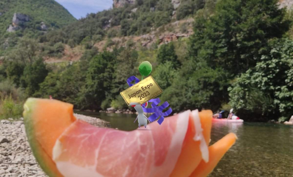 tatouan_d's tweet photo. ⚪おっとっと‼️
タルヌ川でフランス産生ハムメロン🍈
夏のバカンス定番ランチ🥰
#PikminBloom #PikminAR #ピクミンブルーム #LeTarn #France https://t.co/X5ZLrIG5pa