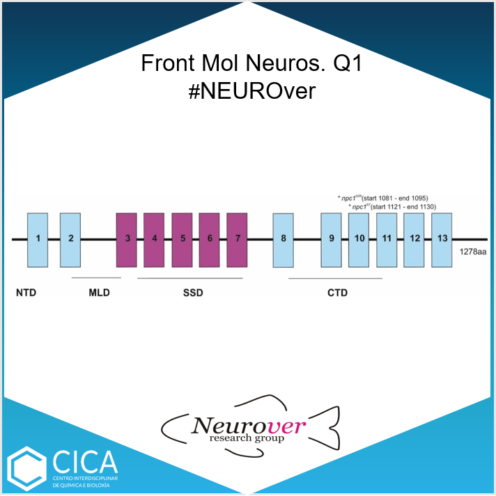 CICAUDC's tweet photo. Ana Quelle-Regaldie, ... @Mónica Folgueira, ..., Laura Sánchez, María Jesús Sobrido from #NEUROver Group published“Severe neurometabolicphenotype in npc1−/− zebrafish with a C-terminal mutation” in Frontiers in Molecular Neuroscience 👉 https://t.co/66UGHHfEJu https://t.co/2rPDAry9bG