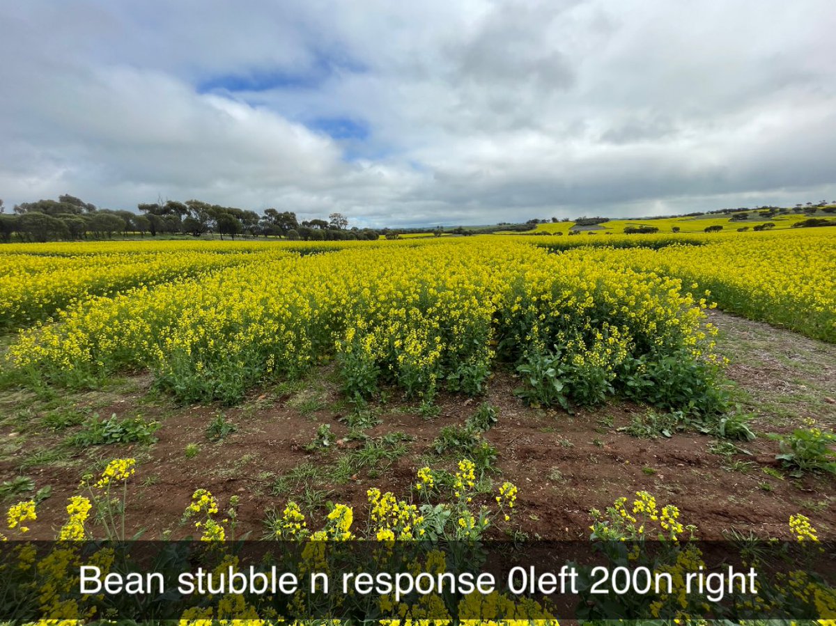 Today was an epic farm tour from Bejoording , bolgart , goomaling thanks for having us lots learned