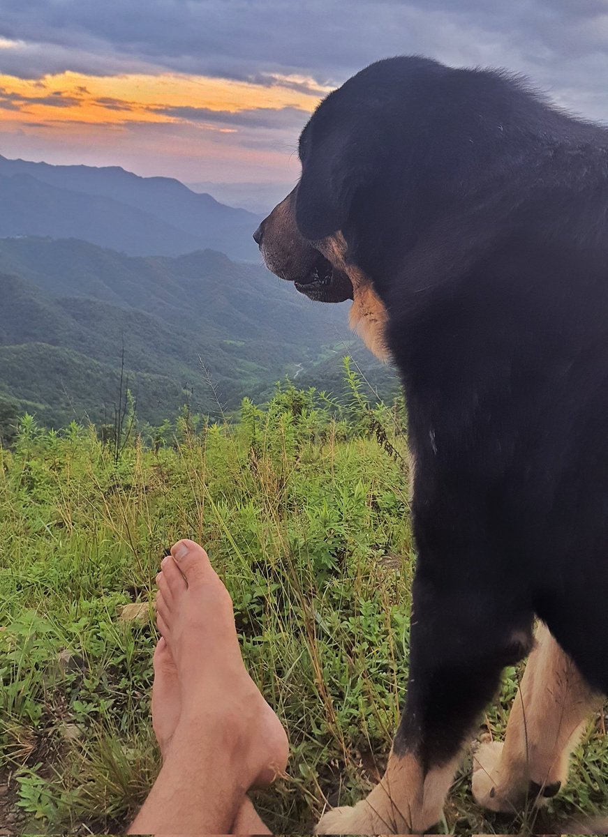 docSubaash's tweet image. Sharing energy once in a while with this non-human human made me over-particular when it comes to spending time with another human soul.