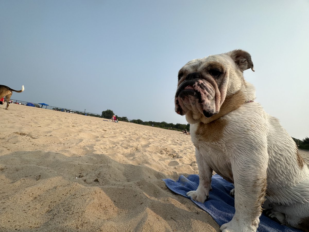 Don't be mad because my dog be cooler than you and yours. We live our best life with our best foot forward, always looking up, looking out for others.