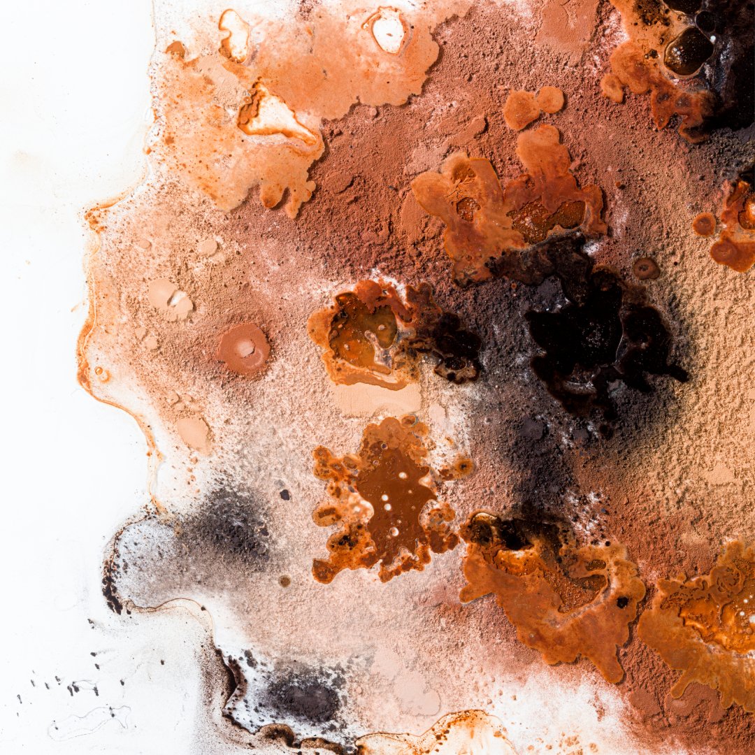 World Photography Day!
Creating artistic photos with food can be challenging but can also lead to amazement.
Here are studies on how to convey the variation in cacao powders colours, both in dry and wet conditions.
Photos captured by Ivan Raga
#cacaopowder #pastryprofessionals