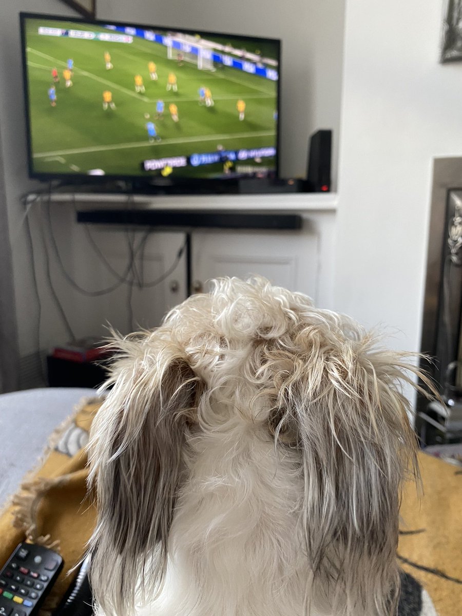 anna_bundy85's tweet photo. @Lionesses Derbados wirh my Jack Russell Dotty!! 
Well done girls!!! https://t.co/ZraHOf2BCA