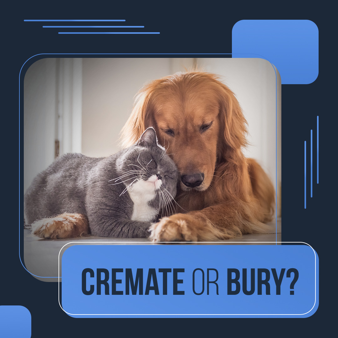 The loss of a pet is hard and their death can bring tough choices. One is whether to cremate or bury your beloved companion? While there is no right or wrong answer, 93% of people choose cremation. 

#petloss #pawprintsonmyheart