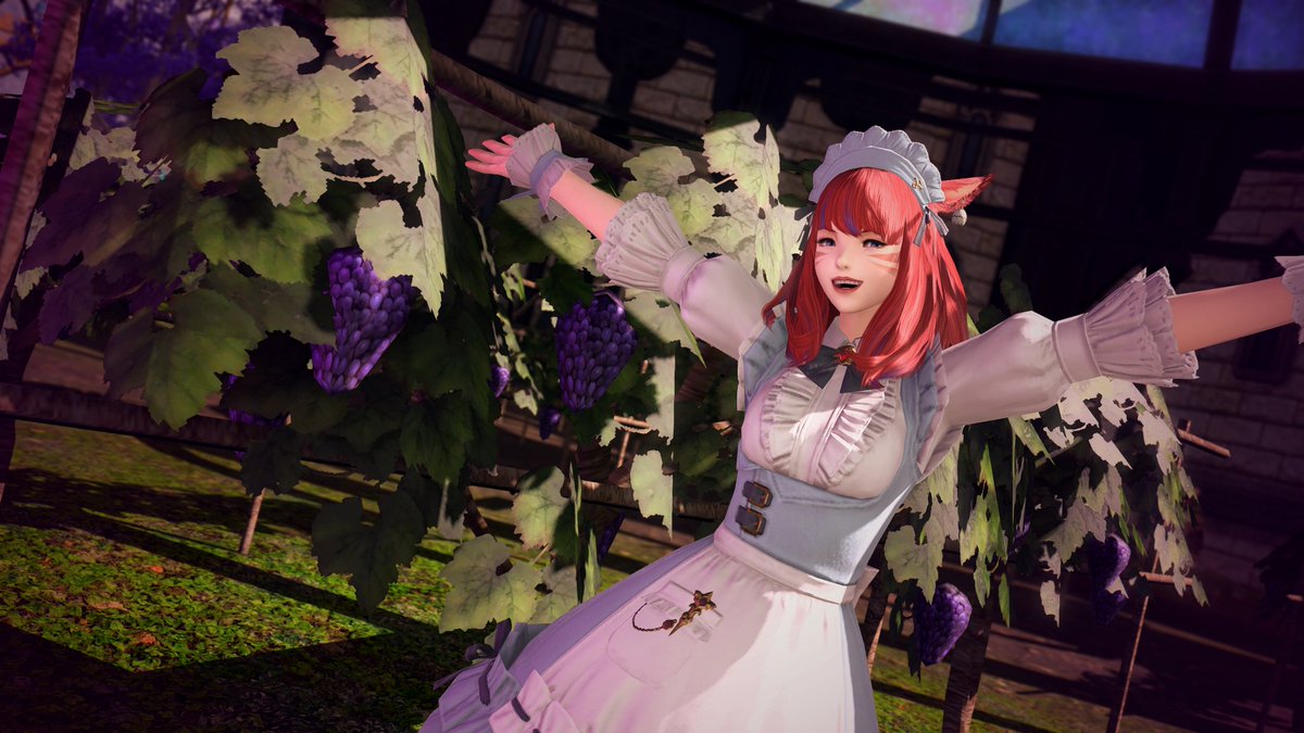 F'ortuna Favore tweet media