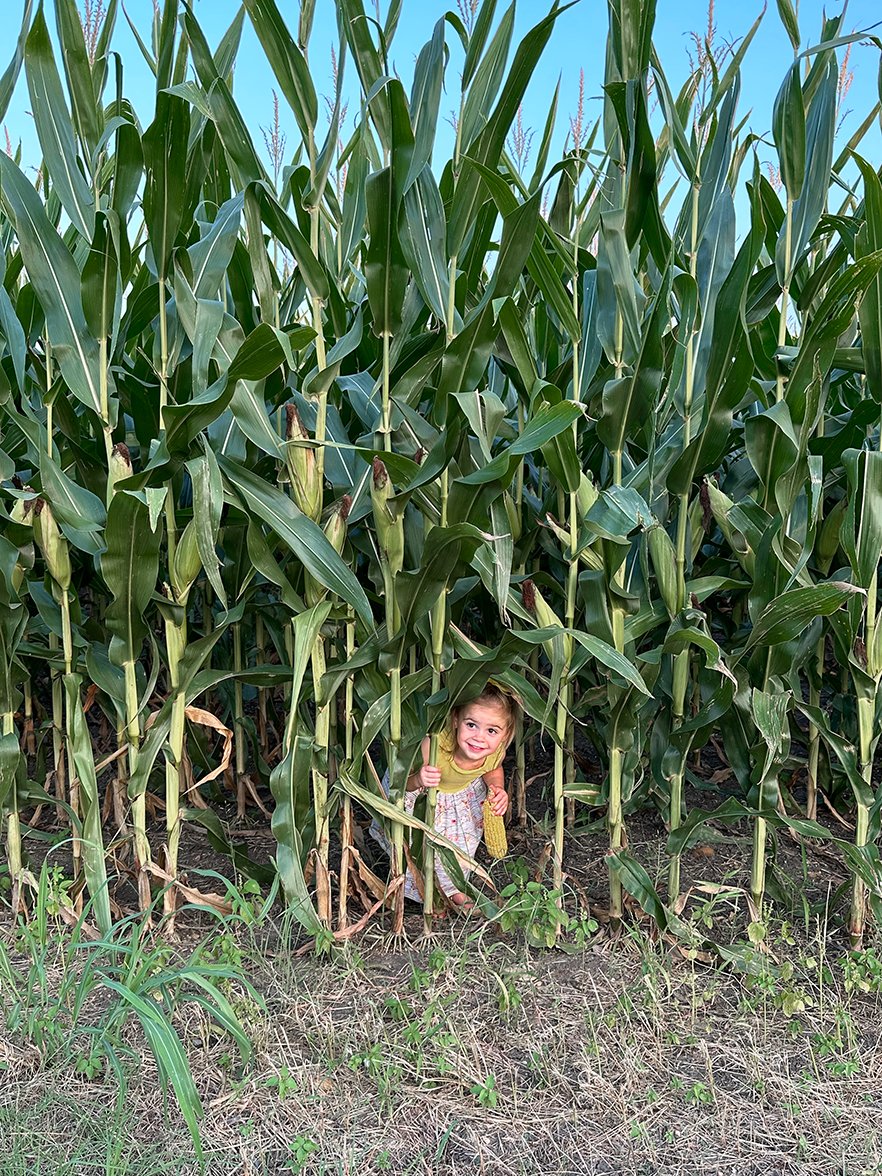 TracesofTexas's tweet photo. Good morning, Texas! And what a (relatively) nice morning it is, with temperatures and humidity a tad lower across a good portion of the Lone Star State.

Today's Beautiful Texas photo is a dandy shot that was sent in by Traces of Texas reader Britney Coody.  This is her daughter in a cornfield in West, Texas --- the town north of Waco, not the geographic area west of the Pecos.  That's some mighty nice looking corn.  The family has been been farming in the area since the late 1880s, when Britney's great great grandfather showed up and set down roots.  

Thank you, Britney. I love it!

If you have a photo you'd like to see in the beautiful Texas slot here at Traces, please send it to me via email with the subject line of "beautiful Texas." Thank you kindly.