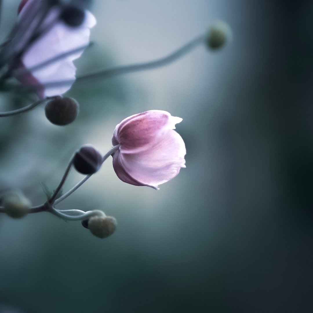 Join Lory's Place for its Good Grief events in September. Meet and socialize with others as you learn tips on how to cope after the death of a loved one. Space is limited, and an RSVP is required.

Call 269.983.2707 to RSVP or visit bit.ly/47vt5KF