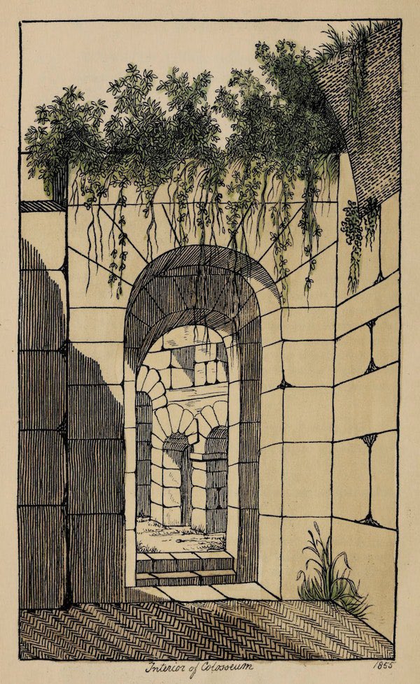 @urbane_natuur @Maartenblad Uit Richard Deakin’s Flora of the Colosseum (1855)