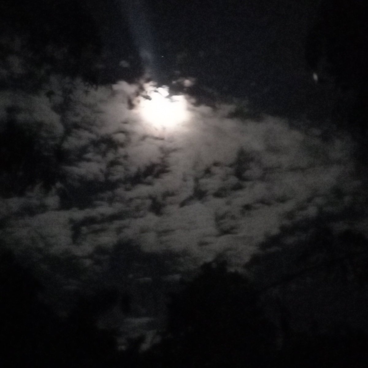 raju_md96255's tweet image. #NewProfilePic