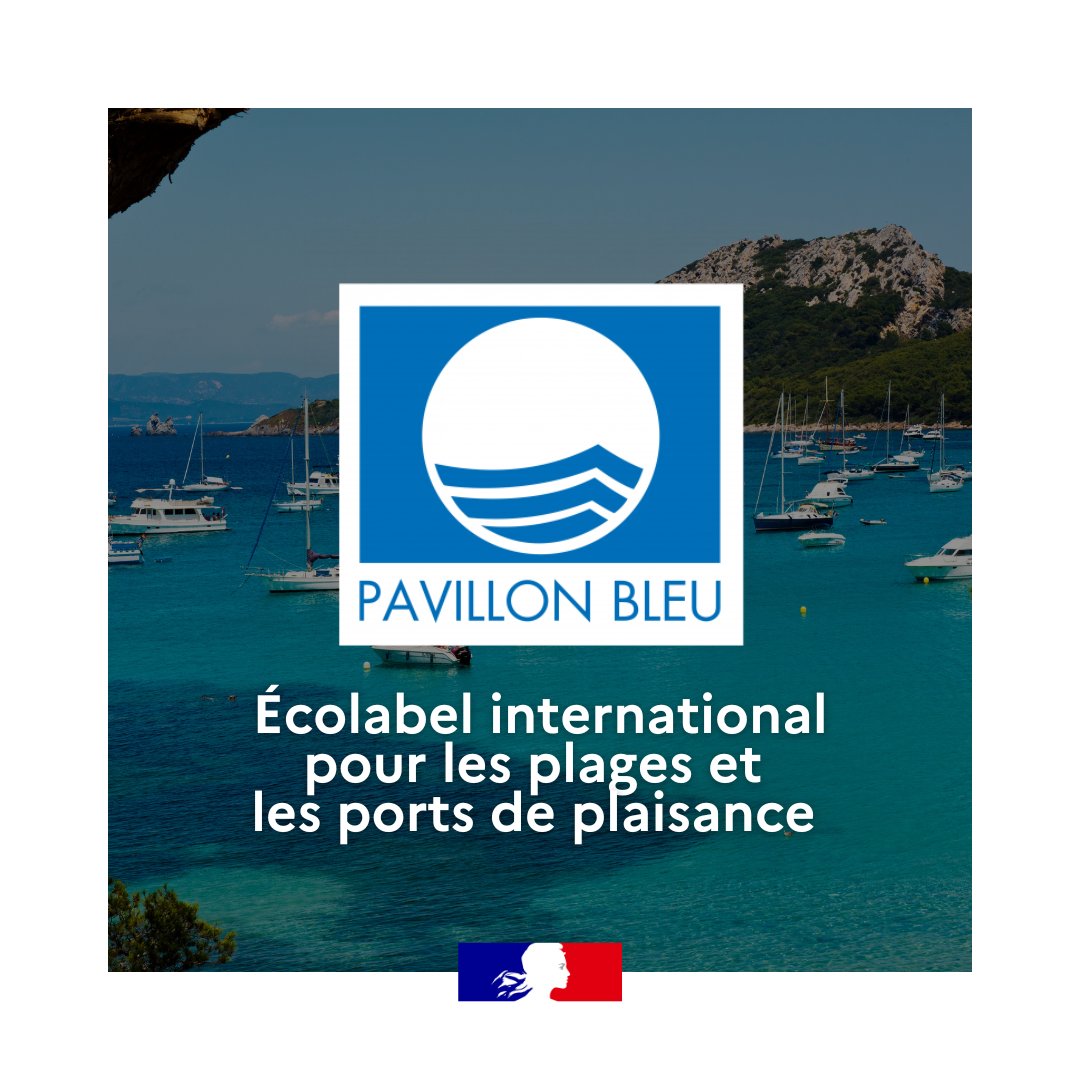 Mer et Pêche tweet media