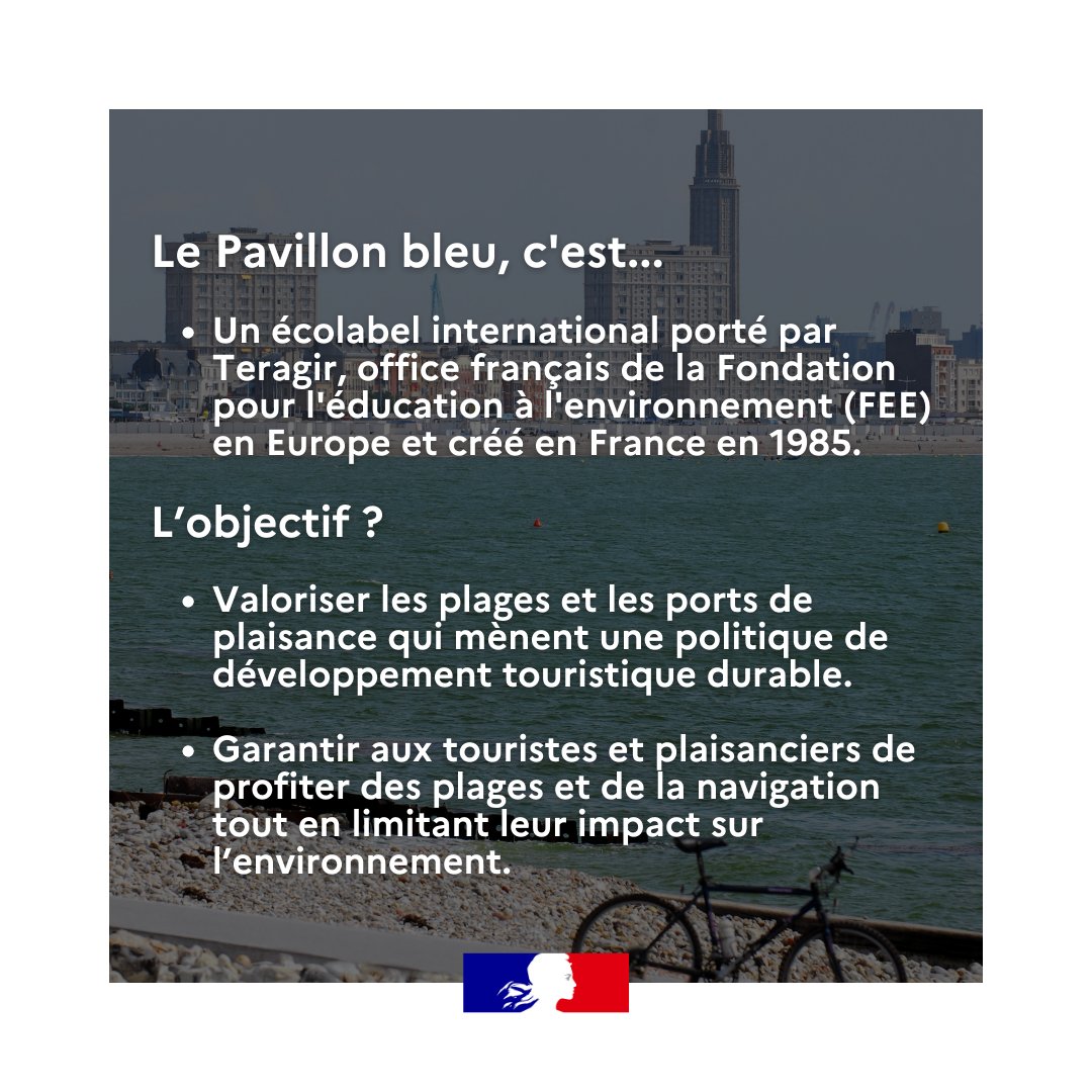 Mer et Pêche tweet media