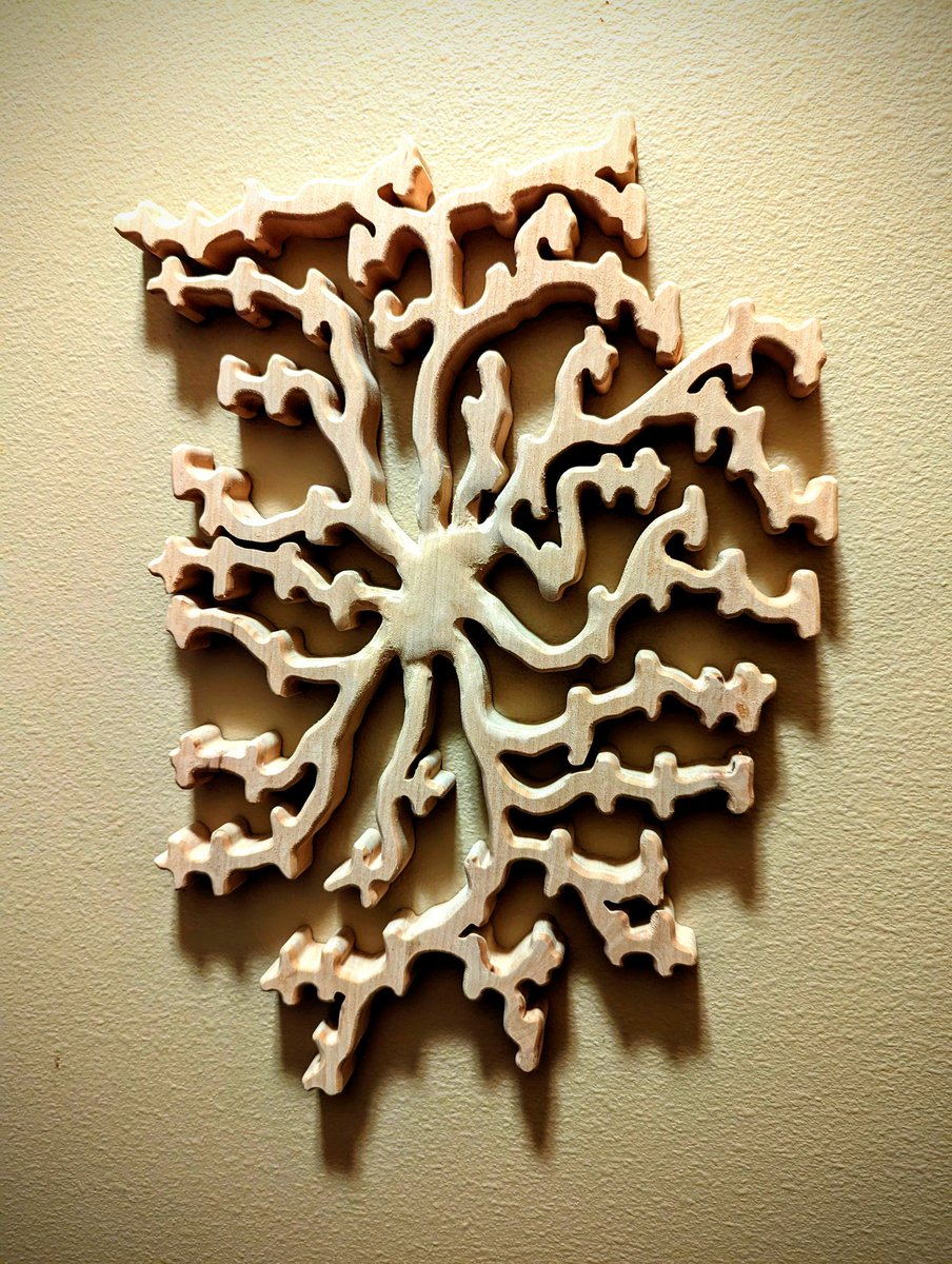 NeuroWoodworks tweet media