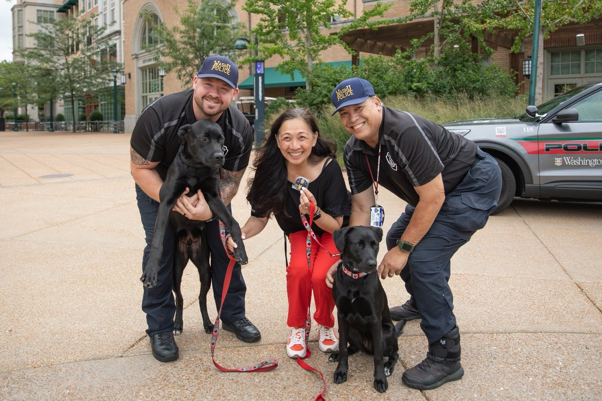 akgonzal327's tweet photo. Got such a cool surprise gift from our #wupd dogs brookie and bear (and their handlers). https://t.co/jl3jqmImZk