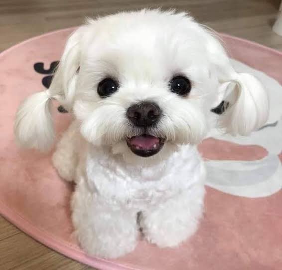 ฮือ ๆๆๆๆๆๆๆๆๆๆๆๆๆๆๆๆๆๆๆๆ 🎀