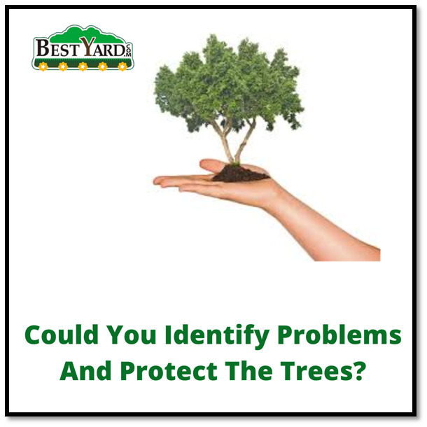 BestYard tweet media