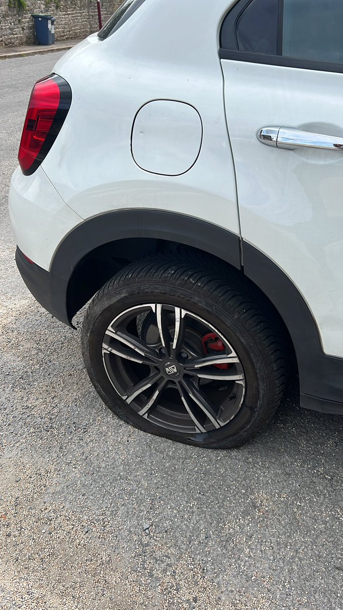 Paola Sucato tweet media