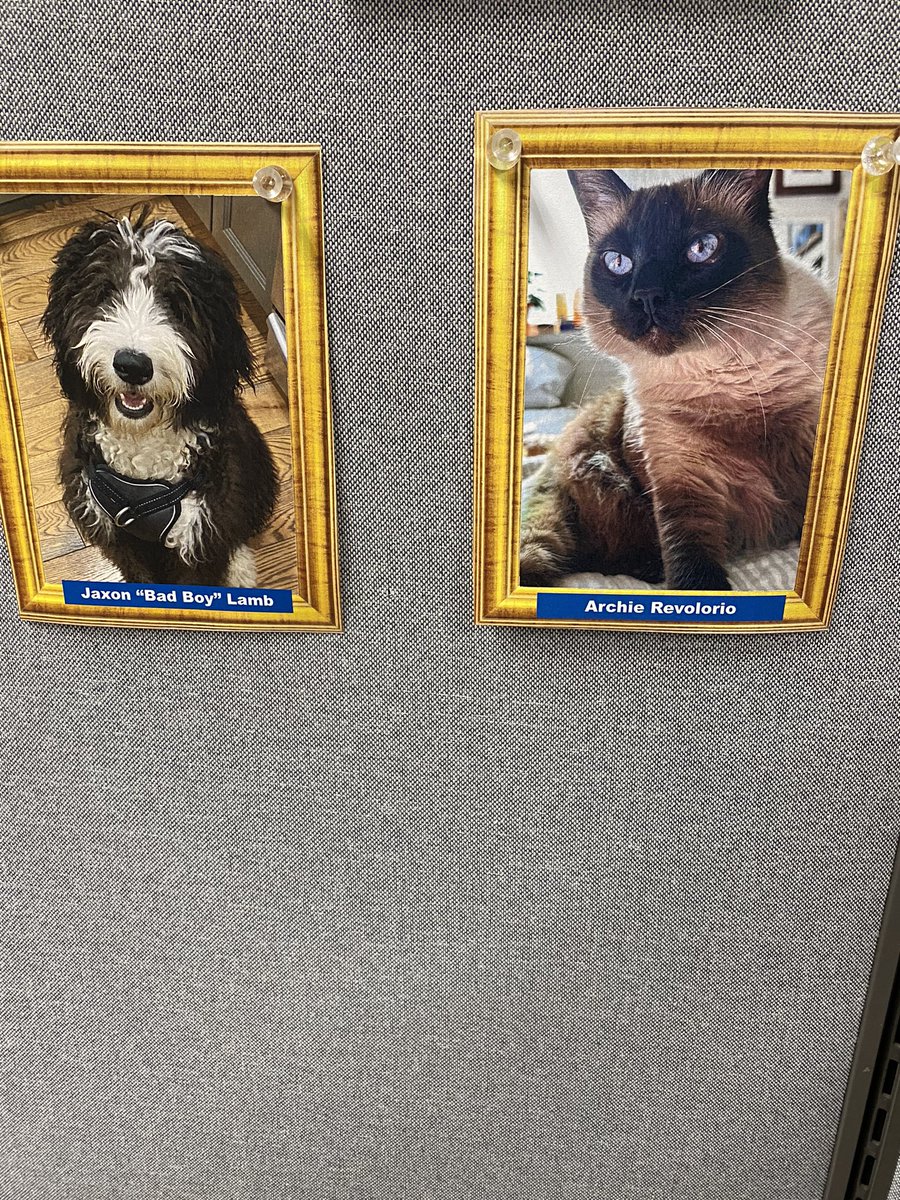 More additions to the wall thanks @Mike_V_Lamb and my first kitty pic thanks to @AllieRev55. Allie I can’t believe you beat @carrie_hinkley1 to it. @TeamPVEOHPA @TeamForceOHPA @TeamMOHtivate