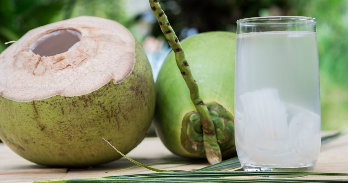 ¿CÓMO SE LLENAN DE AGUA LOS COCOS?

El coco, esa esférica maravilla tropical, no solo es un excelente complemento para tus fotos de Instagram en la playa, sino que esconde un secreto digno de un detective botánico. Vamos a bucear (literalmente) en su interior.

El “agua" dentro