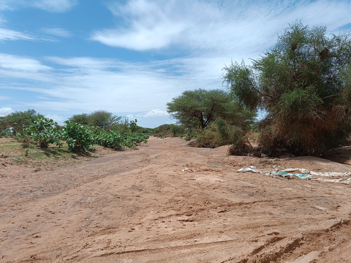 InZawnaker's tweet photo. #Azawad
#Kidal Igouzar
#Adagh #AdrarDesIffoghas #Sahara #Ténéré #Désert #Akassa #Azawad 📸🏜️ https://t.co/JHyxzfTcYd
