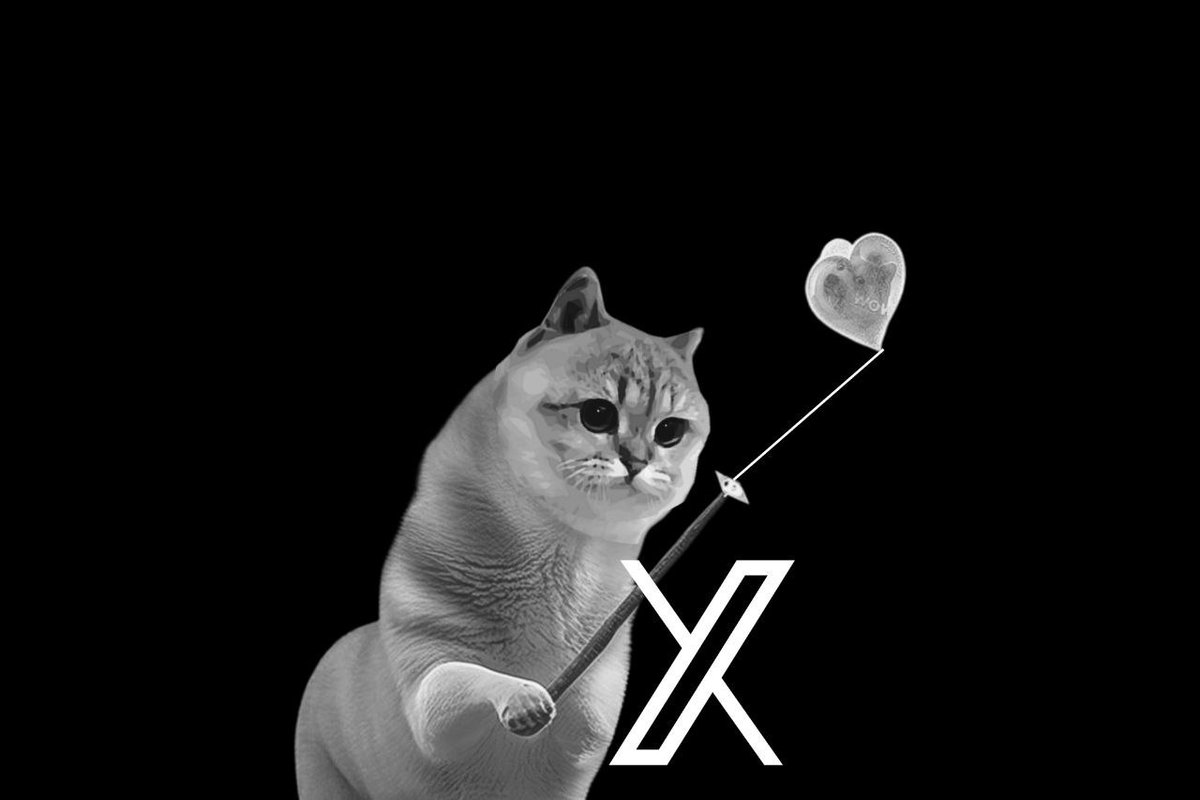 <a href="/MrBigWhaleREAL/">Mr. WHALE</a> Cats are real