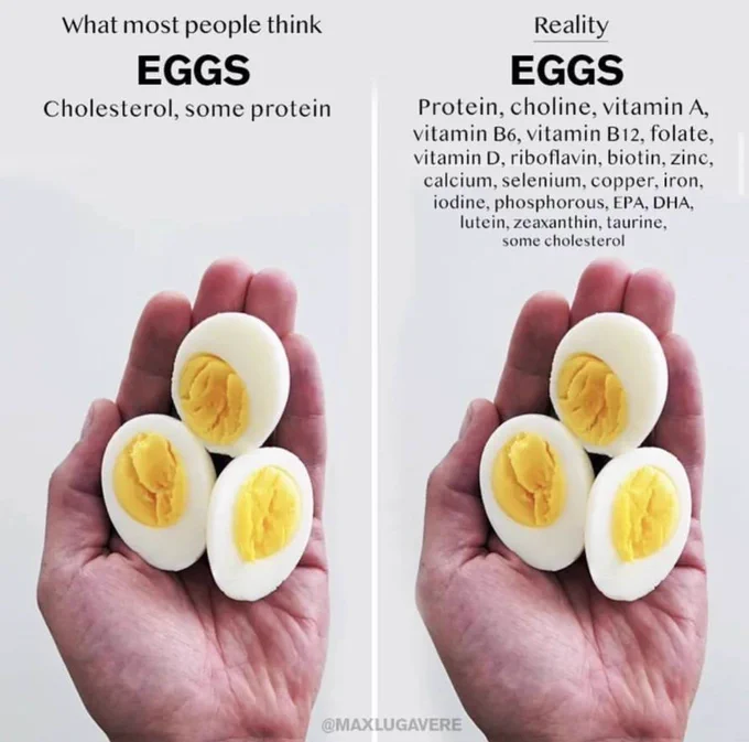 Mangan150's tweet photo. Eggs are loaded with nutrients and are one of the healthiest foods around. https://t.co/U4cfDML0FY