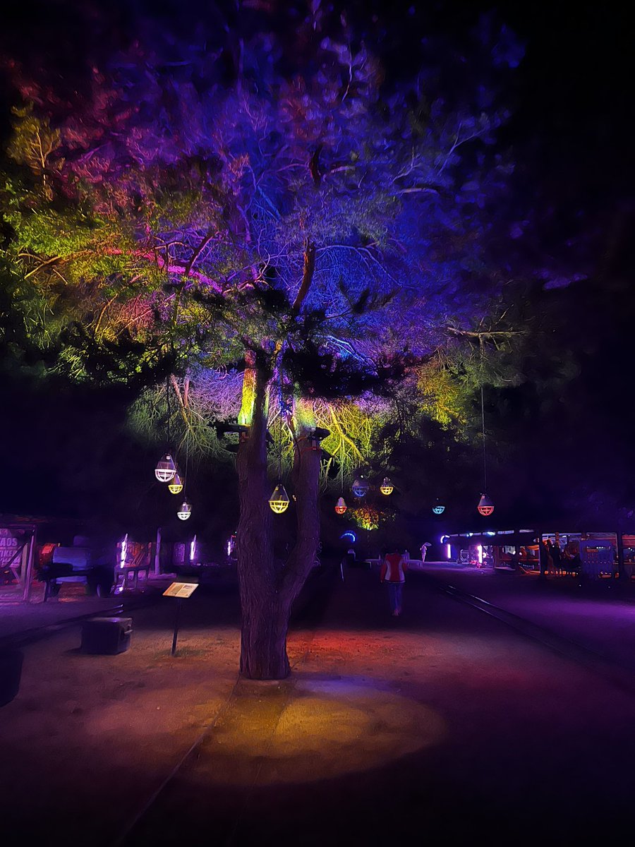 #cccamp23 is happening