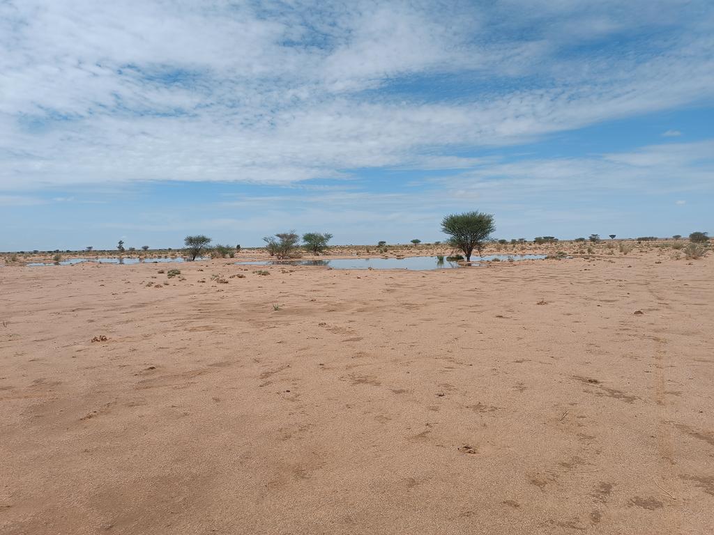 InZawnaker's tweet photo. #Azawad
#Kidal Tin-Kaloman
#Adagh #AdrarDesIffoghas #Sahara #Ténéré #Désert #Akassa #Azawad 📸🏜️ https://t.co/0ngTcalBva