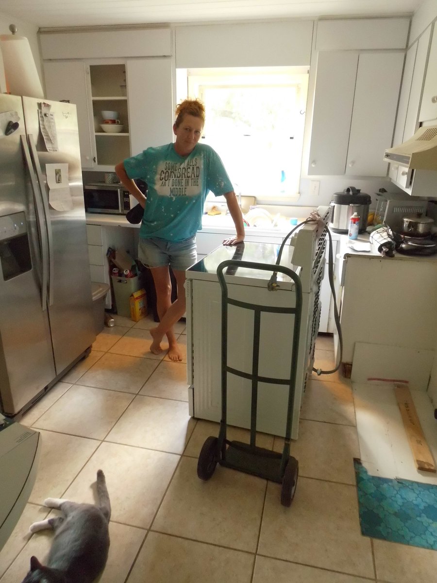 Pigpen🦁🐍 tweet media