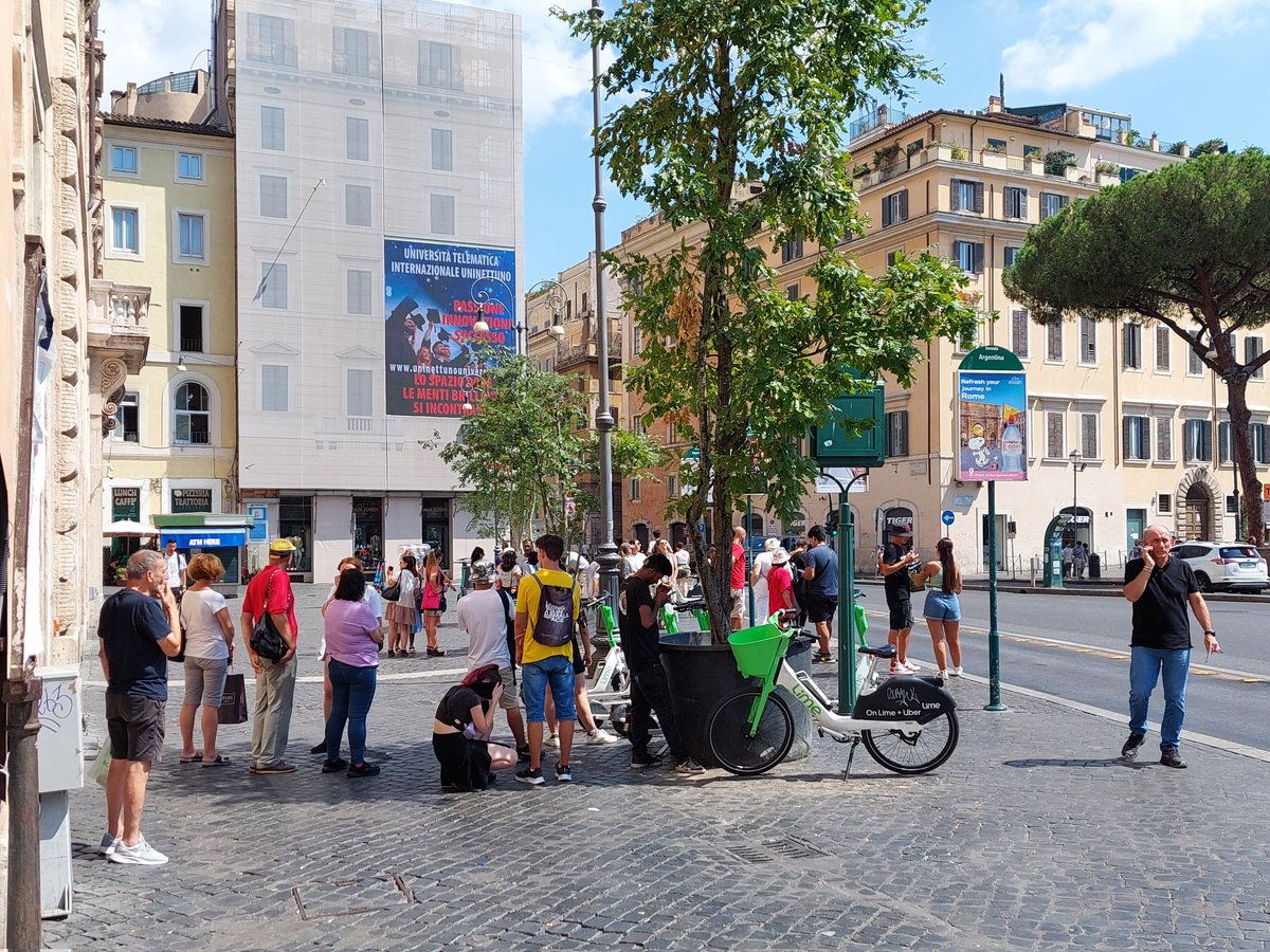 In una foto, perché bisogna piantare alberi nelle città, nelle strade e nelle piazze, nei centri storici