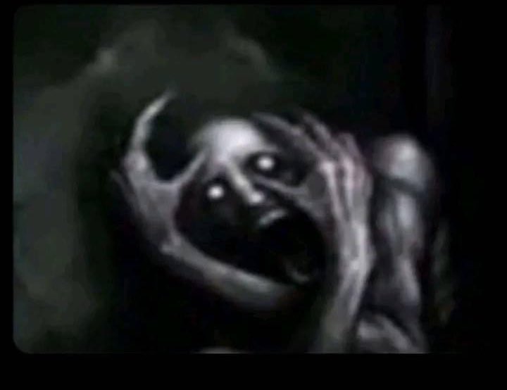 Freq ⚜️ tweet media