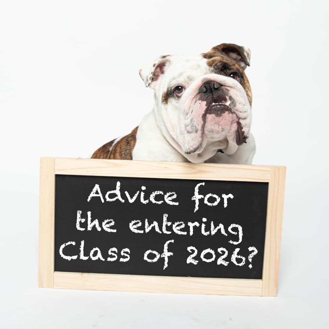 drakeotd's tweet photo. Alumni, current students, experiential educators, and partners of the Drake OTD program: What advice do you have for the entering Class of 2026? Share in the replies. ⬇️ https://t.co/E7oSzyIqAw