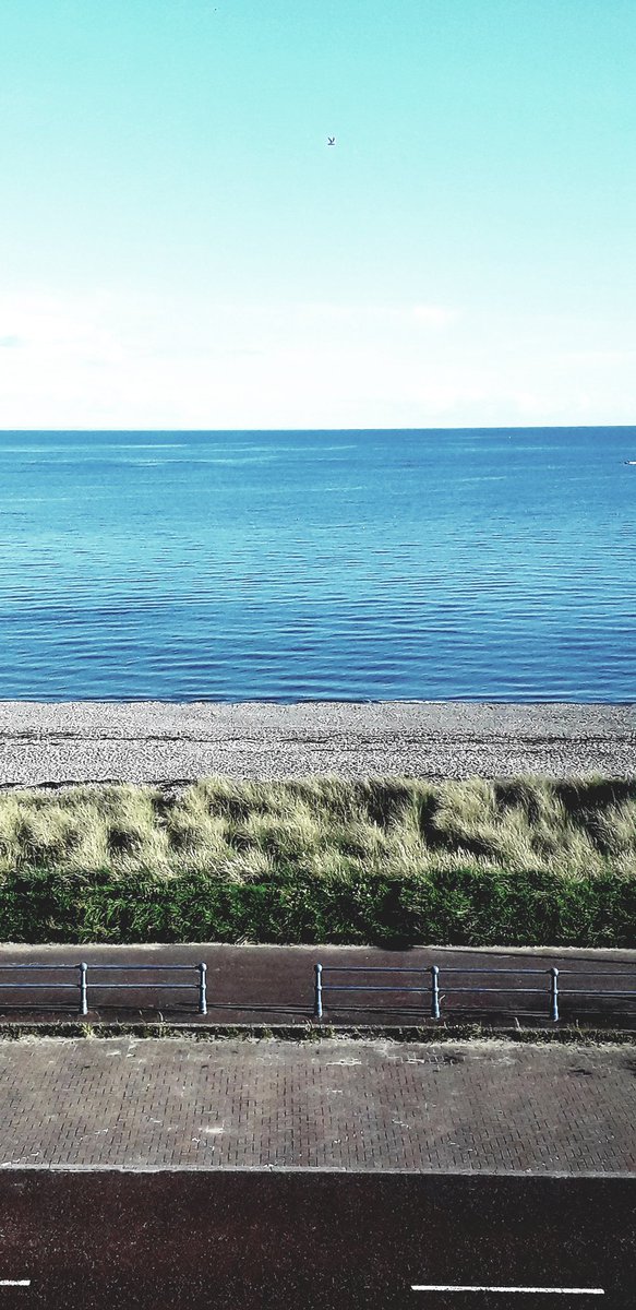 I'll be in there again swimming  tomorrow, you can bet your Speedos.
#CardiganBay