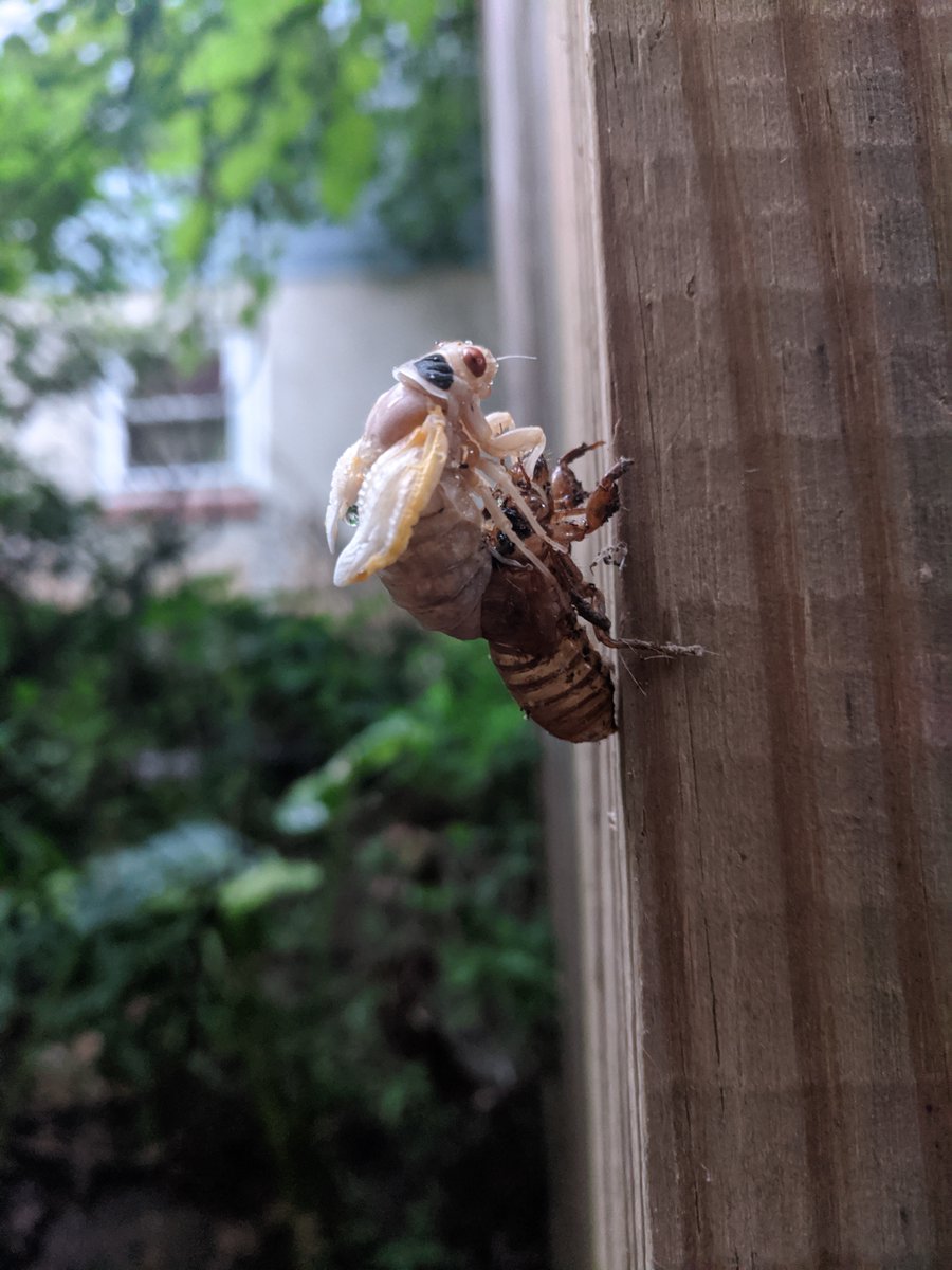 Nerd Nite SF tweet media