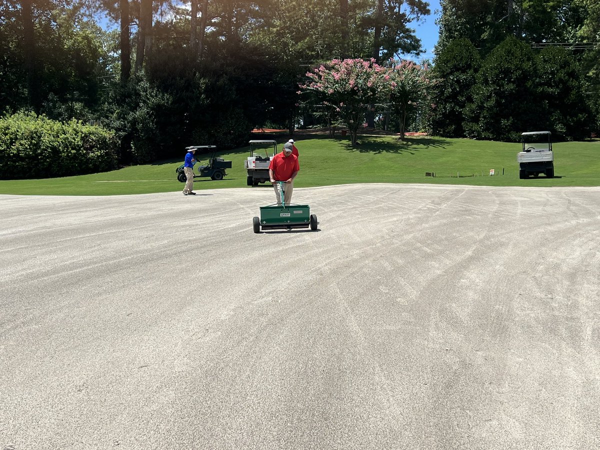 Let’s seed some greens!