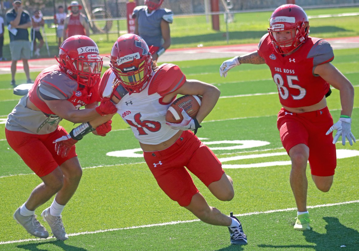Sul Ross Sports tweet media