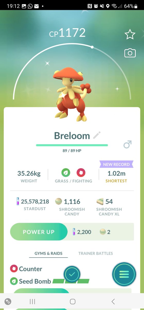 FurbyAndrew tweet media