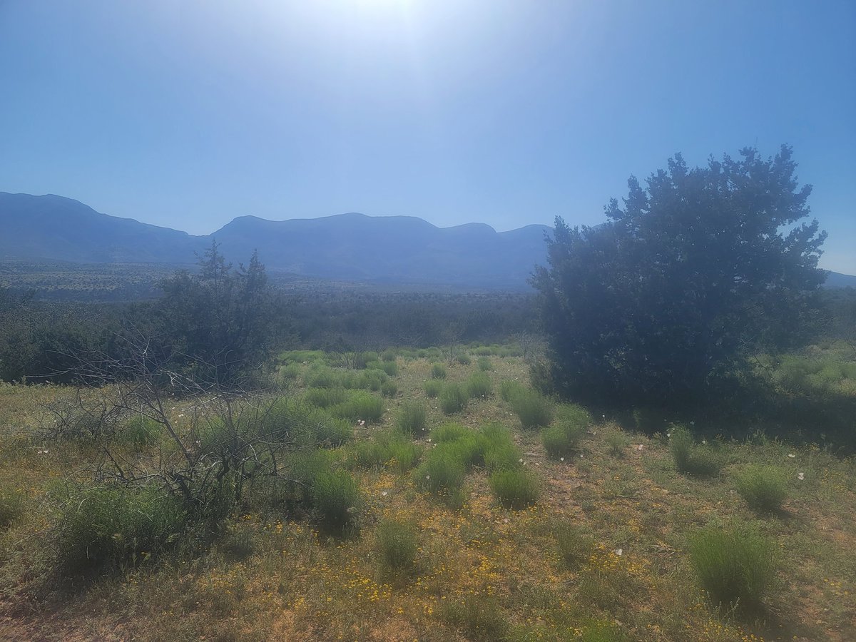 SimplyVampires's tweet image. Wow! So peaceful. I wondering. How long until a new housing development destroys this beauty?